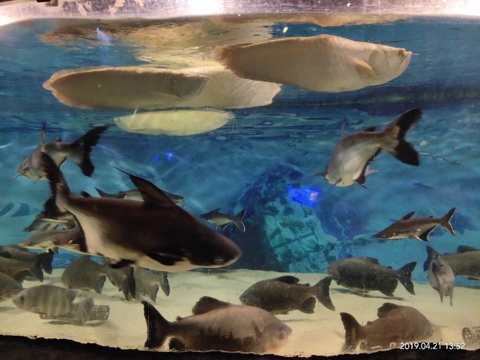 I8gWmREZY4sdWBAwVZda3IJjbAfXXVzq6TlOwVf9ov0dDghazRv0NMfTNIttXx6e