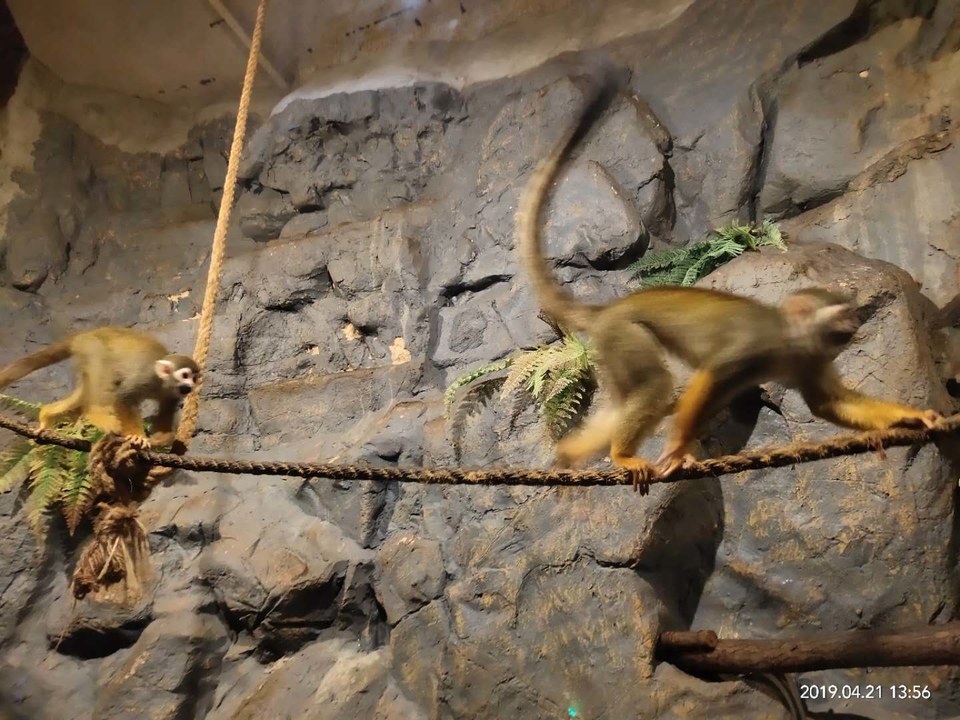 FAs4uubiR1w746Pcd823PCwOIYdAu7vSDoqK_2Of2XrXZmTm20Sx7RxNYFNSfT4N