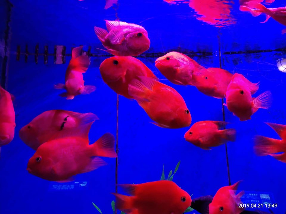 C1xS0GwE70zS2qUloYgwkMsajhym7Gb2WrnkrM57dUbBBLKbPALz6e4mo-e6JcRS