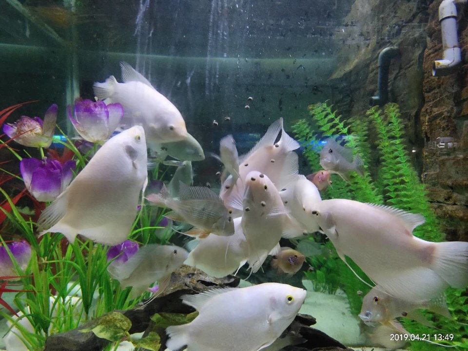 -OXLFjpZnEqJUGRaQl7vHjUO2DYi6JWAcSI6lPqZIT4ZukoIt3a2Vll_xnHfKVPz