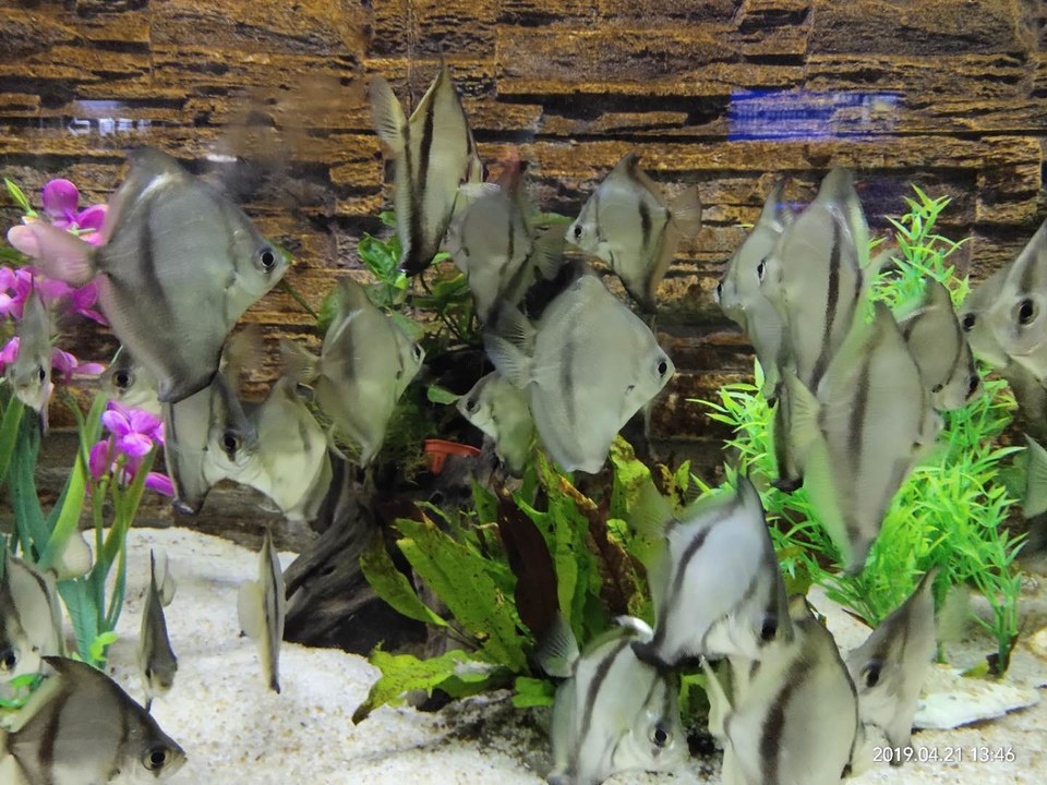 1I7AM_nWk-cWe8mjCTFRz7G7YXOpkZzaMoD5d3jAc4YXnb3Pl-jnhWt0rR4Seizq