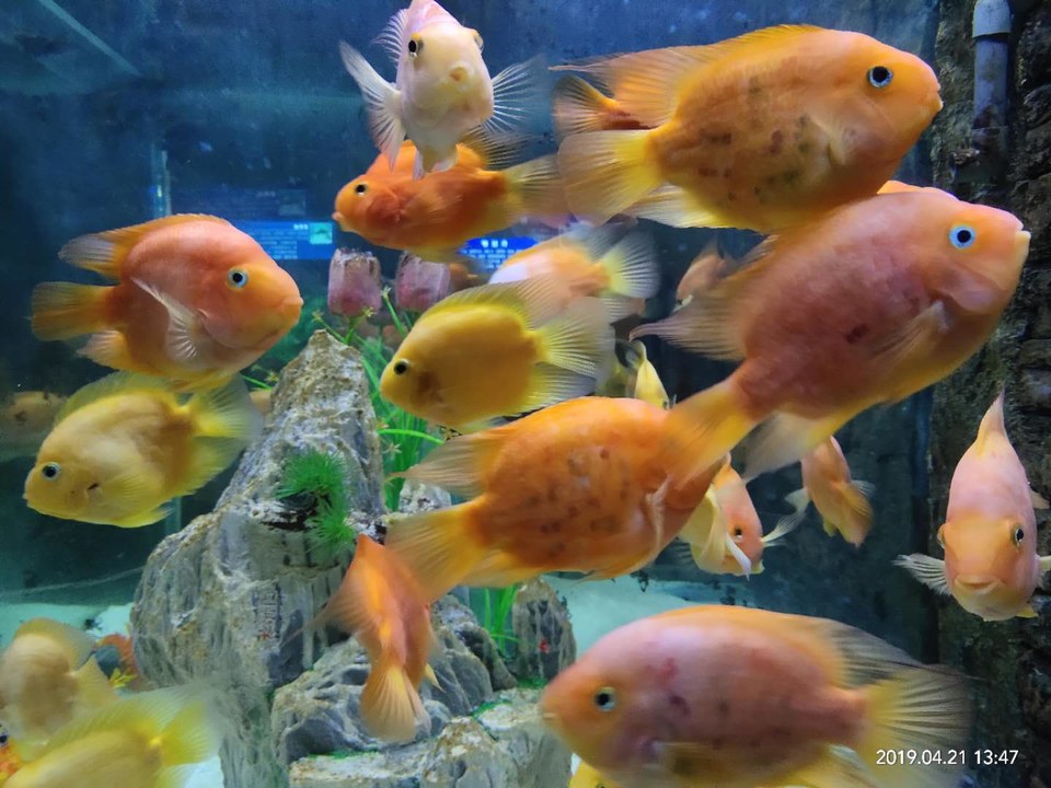 tqrVUoyq_wul8VNFxDst40Shxb05rl2y2bJm6kB903Y99g-U9JYAv3vkVNgqUjhi