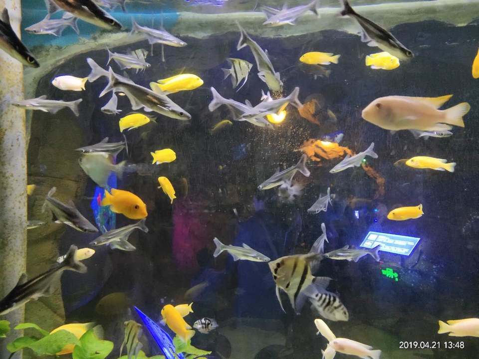 xJL4j37czJY2OFa74QbGfLMWZecU3YyPvDu_37jorvUrxCvcTJMe8-aOtsfElSdq