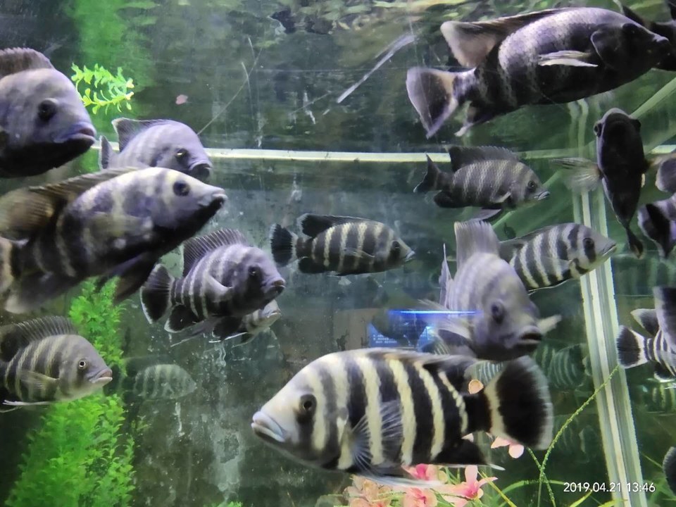 TSsR378ESeRg1-1b5GnJPMc47FPH-_lsfuP2_ZVzYs-asLuZ7I87N9nMUT0K3-8d