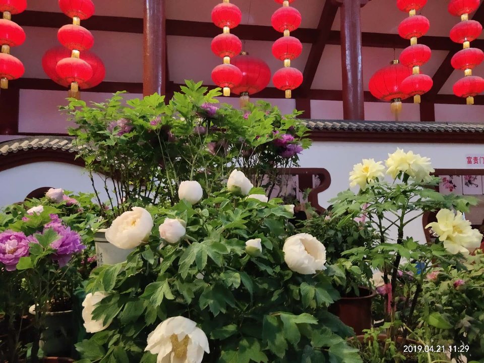 z2Oi6GDd3SwUPHLUGn4w10VtfiE2qogqHG8_fk78qsVsdwu2GCIGKnV4TgPnP3Rs