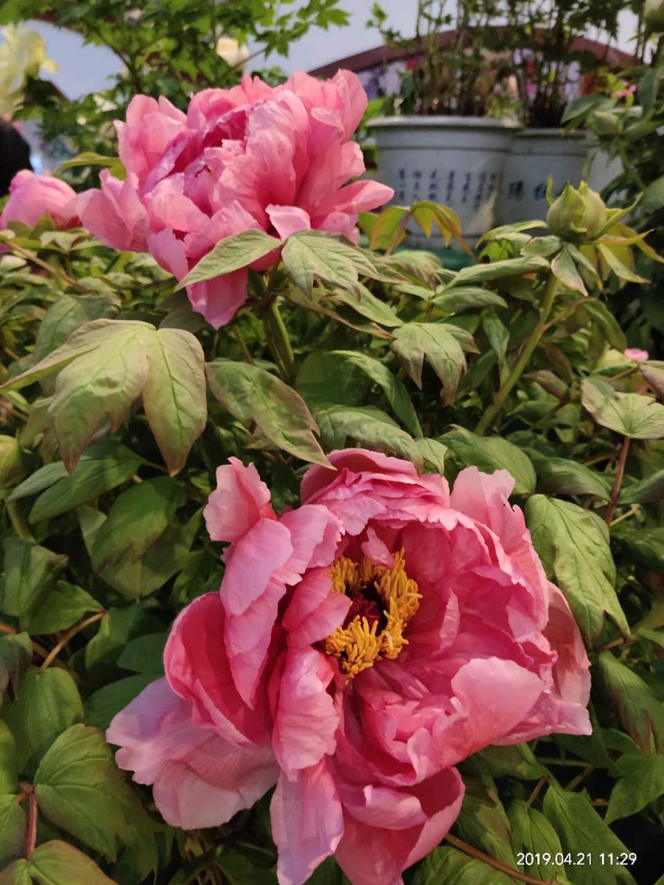 OIE34TzU79ev_I_qd3-uFeFBP8gT2s1Me6Bz2JeXzJKEtxIgntd06No9Cy2-bjzs