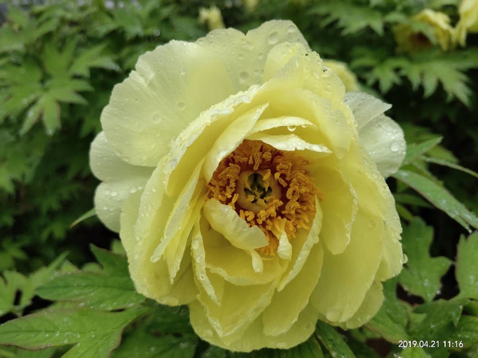 11Iwpmu8389y3HvZzSvGHeqksrIETwURwGaSSnVz-MR2Edj_lRcvWx8a8G5zp2AQ