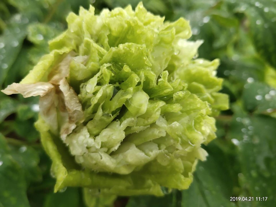 D6LHZMwNwpHekvmaoCP5hPLViMRjAehuUKjsBcfG6JBWY1HaCHWo93-PZRE0wnHE