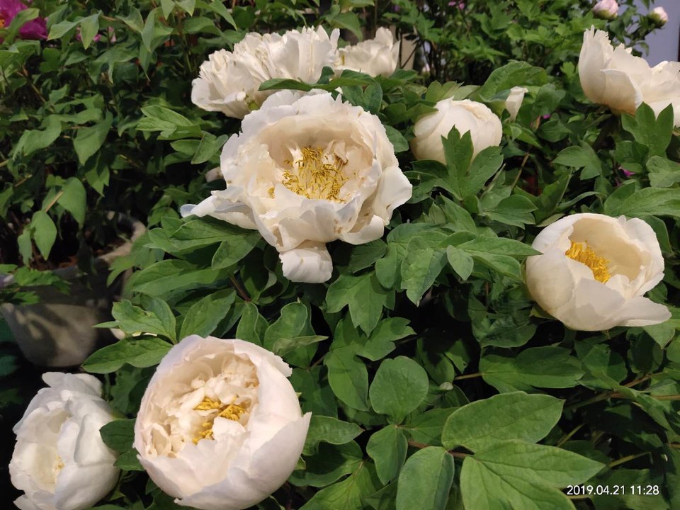 xfmTFDitC-IHrLPyKdBYEeCLSkqS9SVD34rdkArWr0N9R5EiHHDhrqeK5H1qOxAm