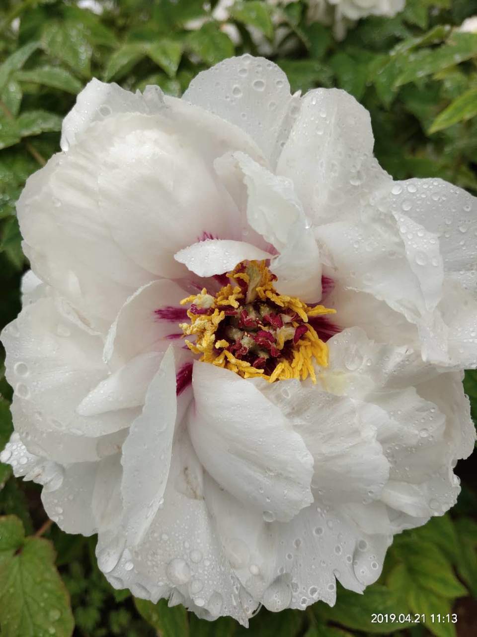 6geyZpwt9nI7twrH4u3euHSQESU7wfQ2IwDnTyjcIUglbi85VePwoafhljOW84ts