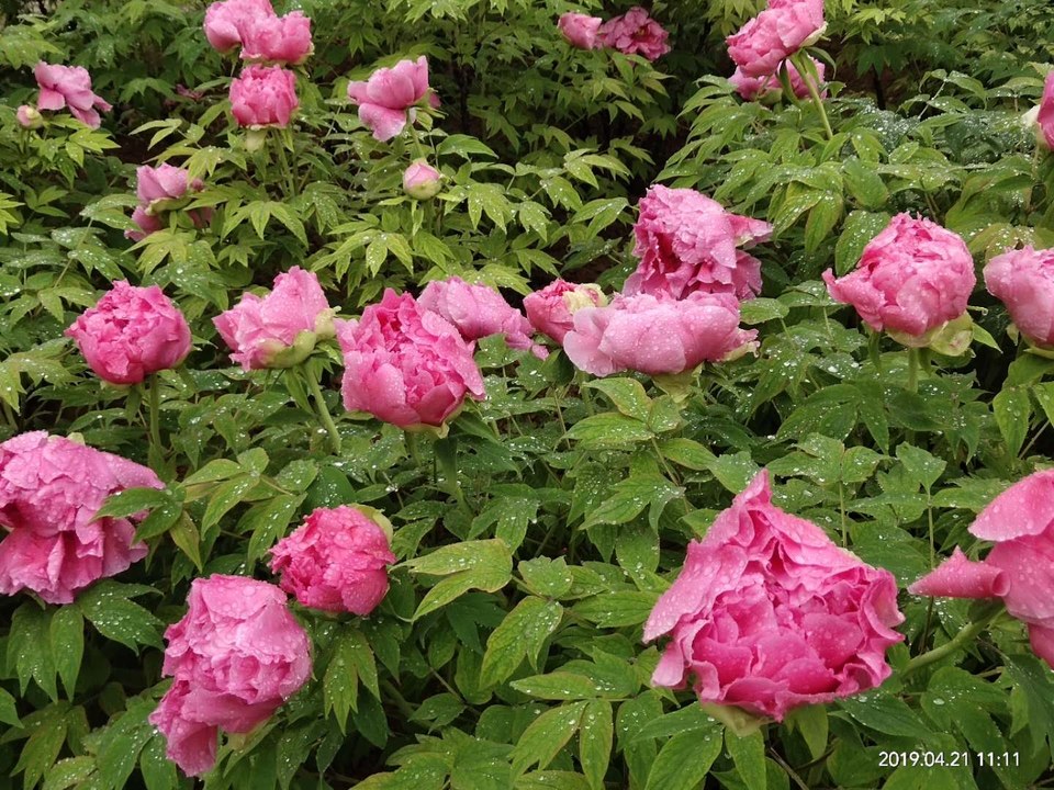 4ewgpzFHSbrQtMZ6FPnmYvkeieI-_MtueoaluLpKPS6QpMv26O57_PyT14Y7X_sd