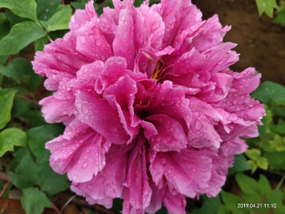 1wcOjgq23_CHbCoRhkdbX3bw78OhdkSGbYtuo-1DErUa4UQlVyH5nNxUqisfyPlK