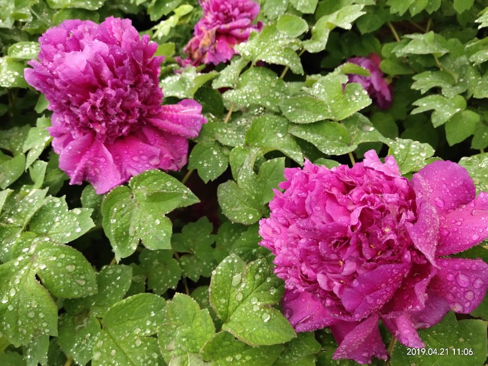 1MtI_B3r-yQ2CHrEKzXlzDtEuUNVmhBm8mn6HE6ZZOEkoptgNAl8wt2Nx6TnSAyp