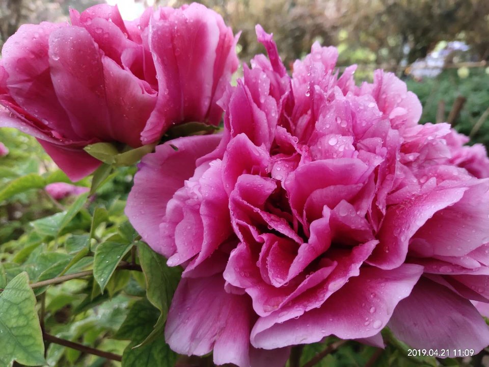 OeT_vEtvQXgX96hIZEPCdTojf5l9OypP3D6LDykvRamnxYLyoViNomKgMxHy-I3E