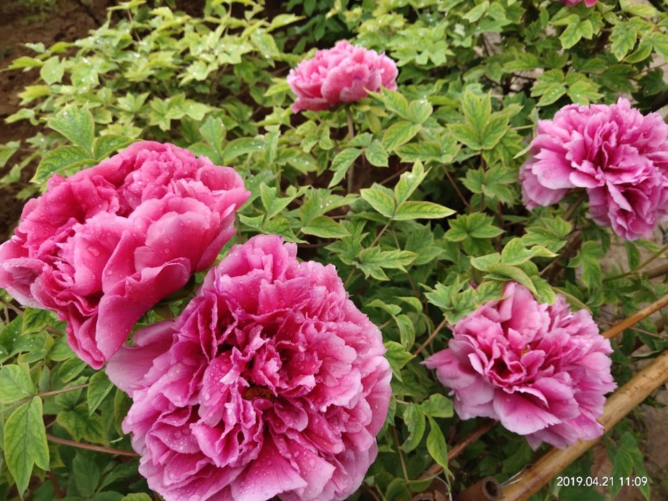 l5qPP2E0db2MxRABYIYU32gnvTLXgKqr5QrKysyhHswwdF8XKeDunglji5aKKFhx