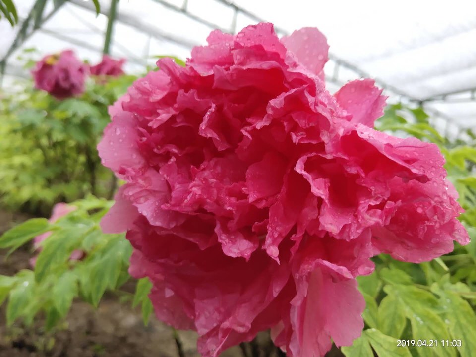 kSi1RvbtlbV9379_xdtCJFkFaAokPwILduAE_YexsT2ZXF-g9FDTDl_DXWRodQML