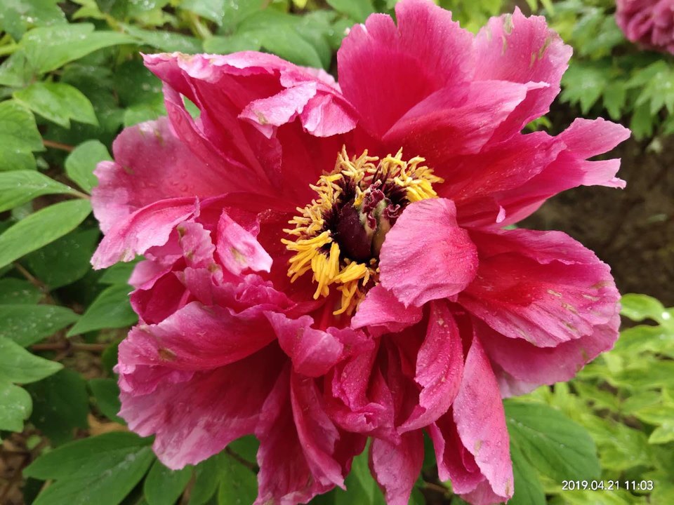 DSanm79ZT-S9sqDFcFA4bP7klvuDysMVc9fhdrl3VOLAN1ZedmfNToVWrOt5RLT2