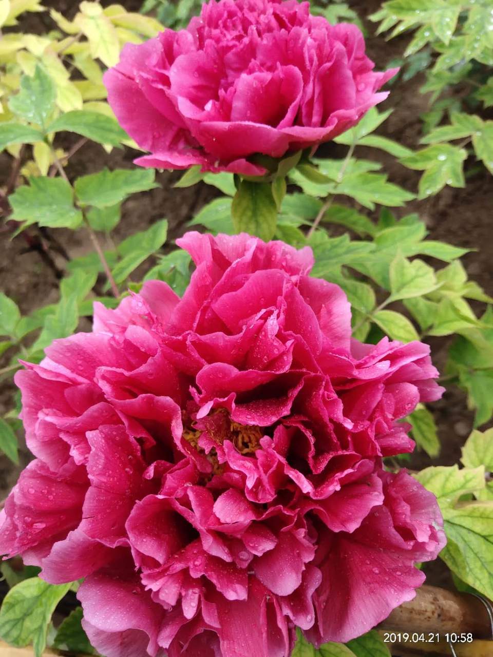 9gmOeUhRDFUU8smxF5ZwK66EX5lu3s-qRB27mNVafWhwQWVy9hYPWYBrlgjIvv_0