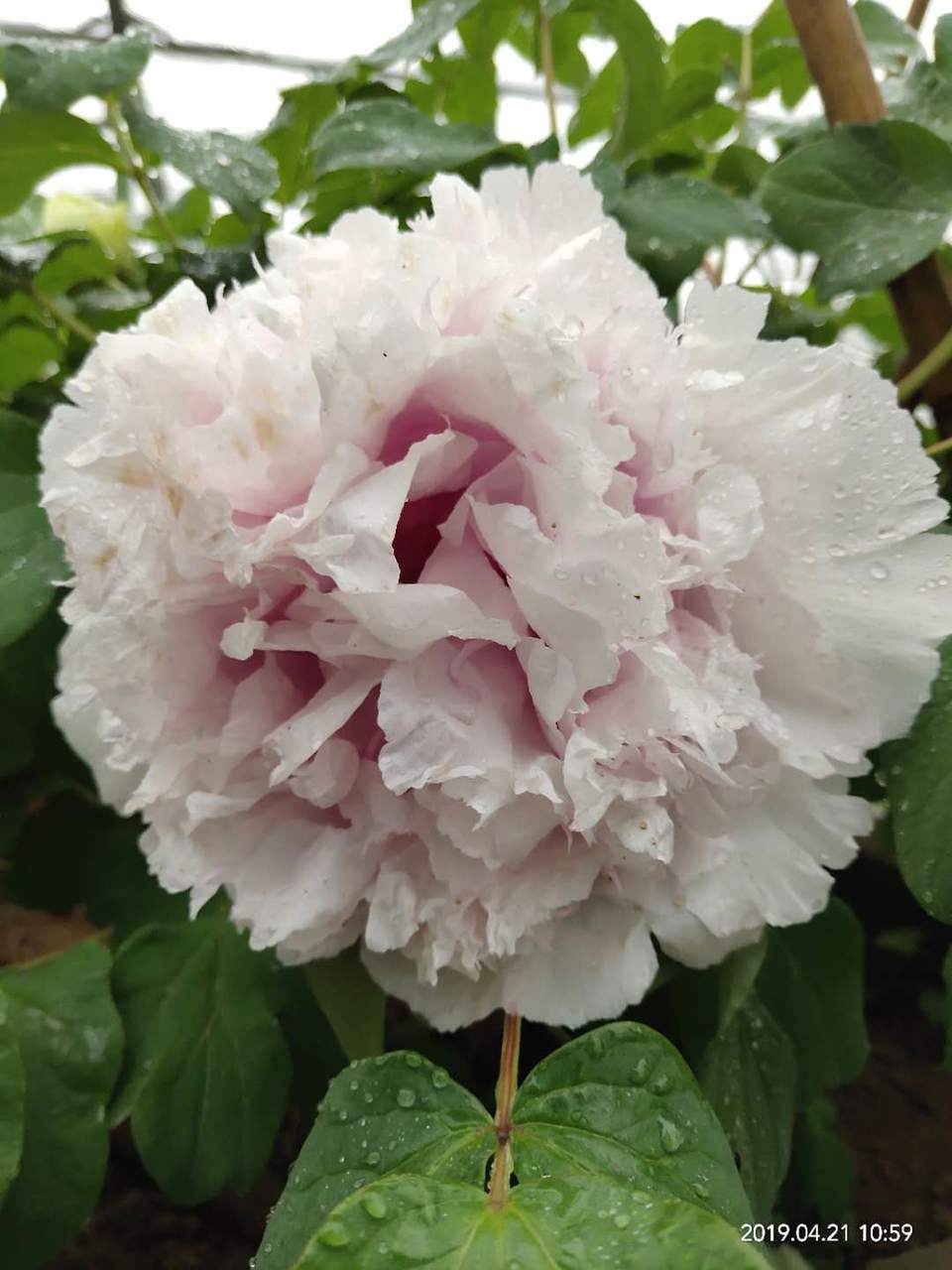 lLNnKUQxcoN0lm_ZOA0d3mQgLRDIPflKbDkhILyoCxtR_Jl8fcsH_u8wPtgU6sGP