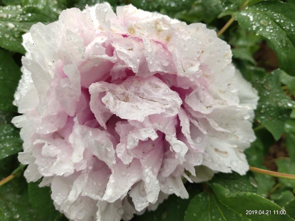 DMJQSqtDPQkWg6Mp97dNNOE7o-qf2wkoZVR_n7_SlPjVBaVM93RMS97wRUPilSTN