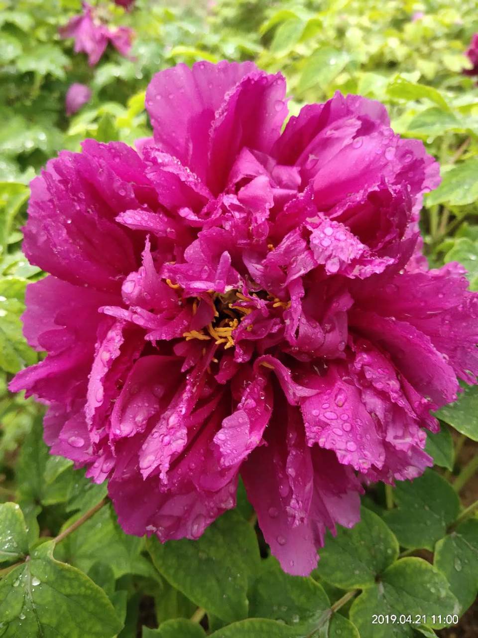 VaM42gxM7Bq7xY6WIEddFxVAP-Rm6GIuRGUKIll73Z6irgmxvhLG5KhVYXXeGkWD