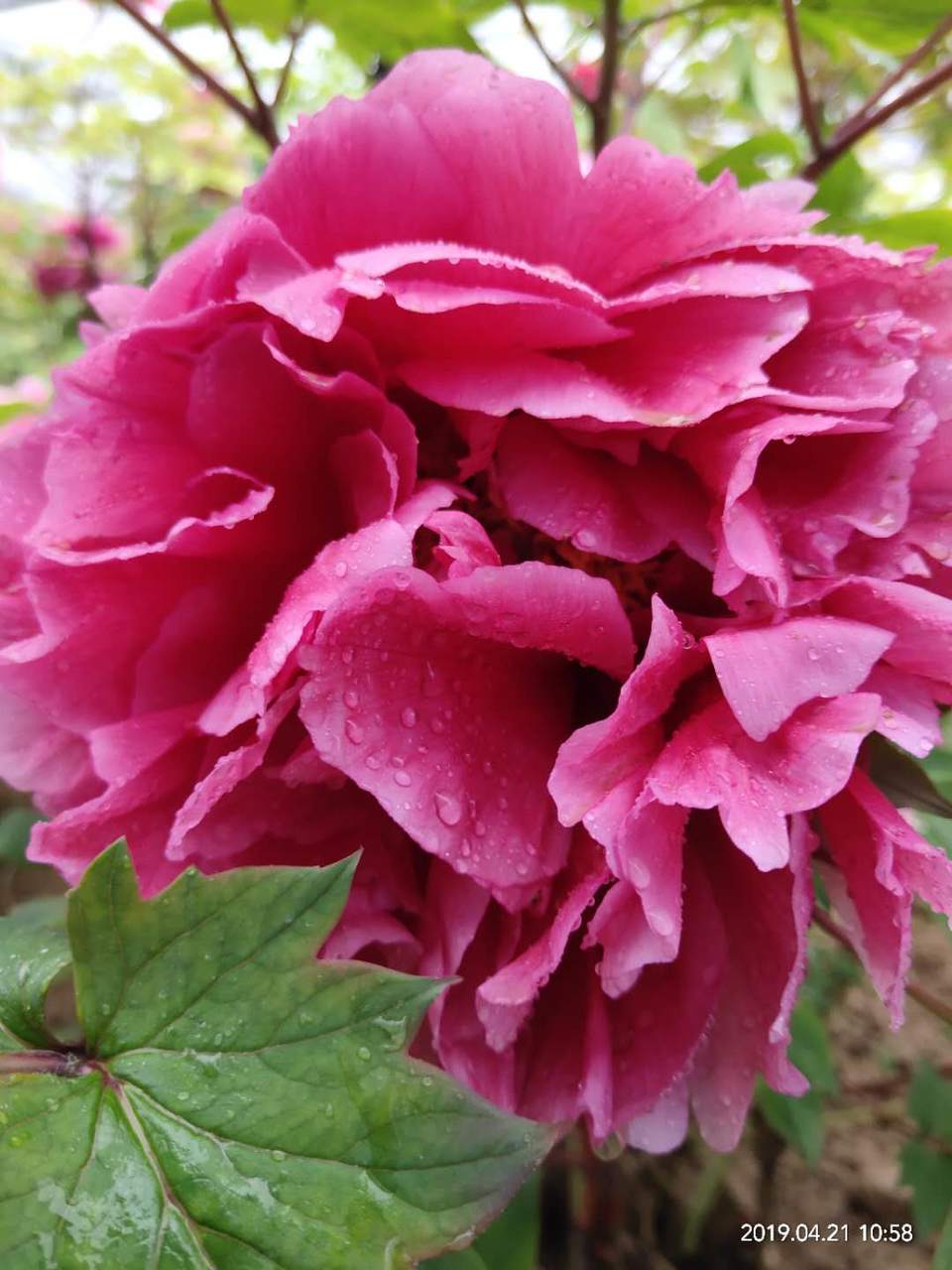 _9hKWb0IuOTPT7LzrYhzCWKn97tNx48TmOJ70NfVTbijfukZl1kuwXnIAWCNfg5c