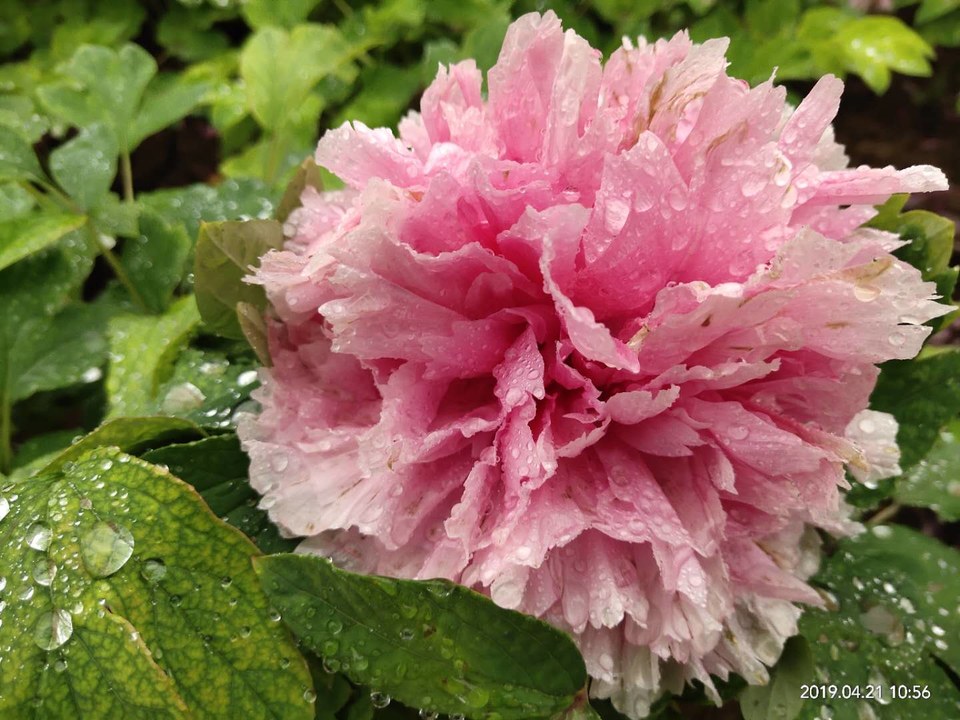 wj8b34WmxvTzx-lgo-2w5SNlnaLBLCCIOKyfiU16dAbhgZj5SAe9SQYfF7reEMy7