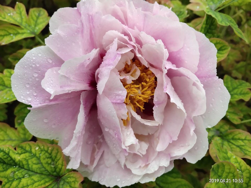 ayKVTCT2MMBiHYktD9hizgV8ZUnw5FqheH_5KWBp0Cm51sH89H9wOSGeSo27FoxV