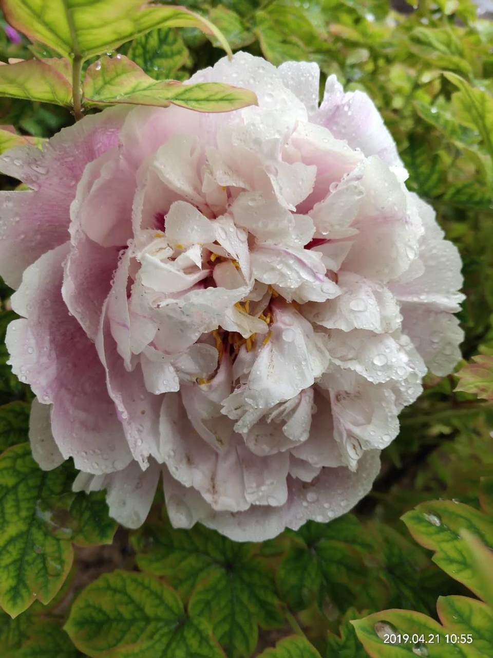 8nkM2__ZRgU-7N16yAduLTLO1zdm3qbndWIzuVRVpKQFvh6rDKueKfJhMP3X33rG