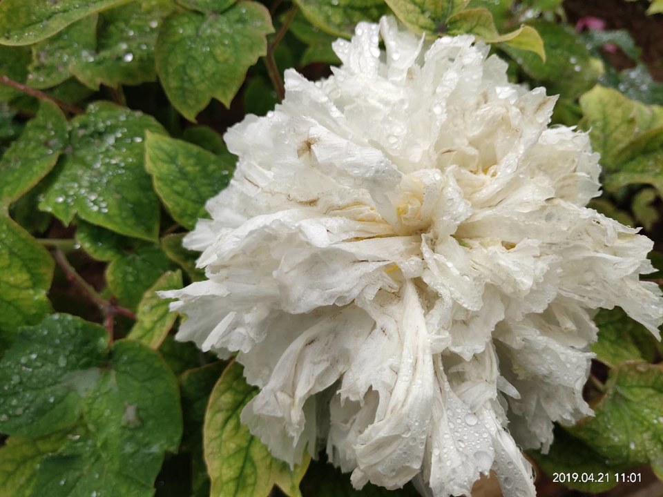 7TleBZqirEAZYWZ_199Jzv8CJPYdLANpXa7AOKmBp70hwZhRj1xTN4P48IMd3e6E