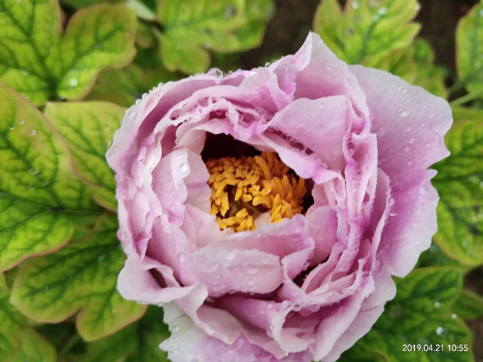 P7hm_w5I8QAeAZ3GOWpDdu1sLhRJRhotPKagCR721_YN6AzFvWsYLT8EgCEdYl04