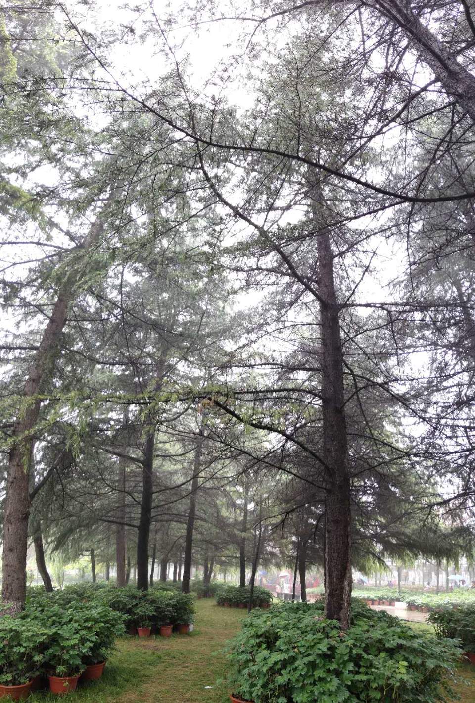 q_eYpUSklYeecoGZYfJf2WPWpJV6q9eA24YthxGF1iyWvp5kVWigucaffghrufNL