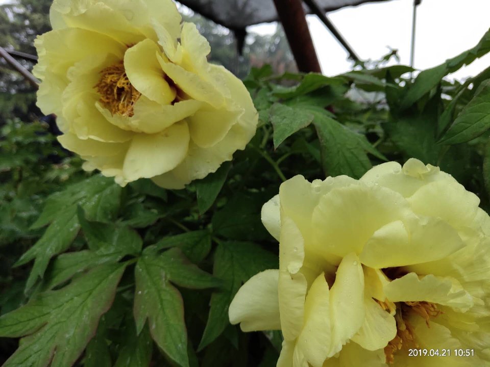 Pl4xSlq8Bdb8CgIHCUeW1mxMTR05D2qf0O4EJT8O8TjV2OdesFtDSpRegRwjBqKe