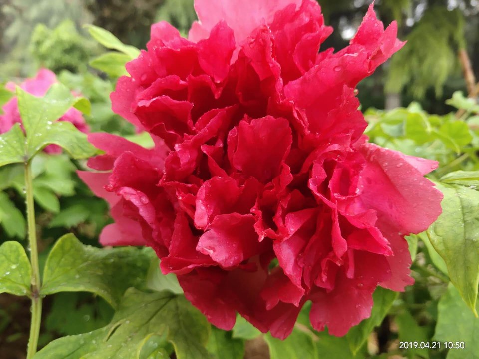 lup908ECxd1P97Vog3WoyZUydO-sAka84egoEmkAKqXDOhT_RA4WeYKlneO2Txl4