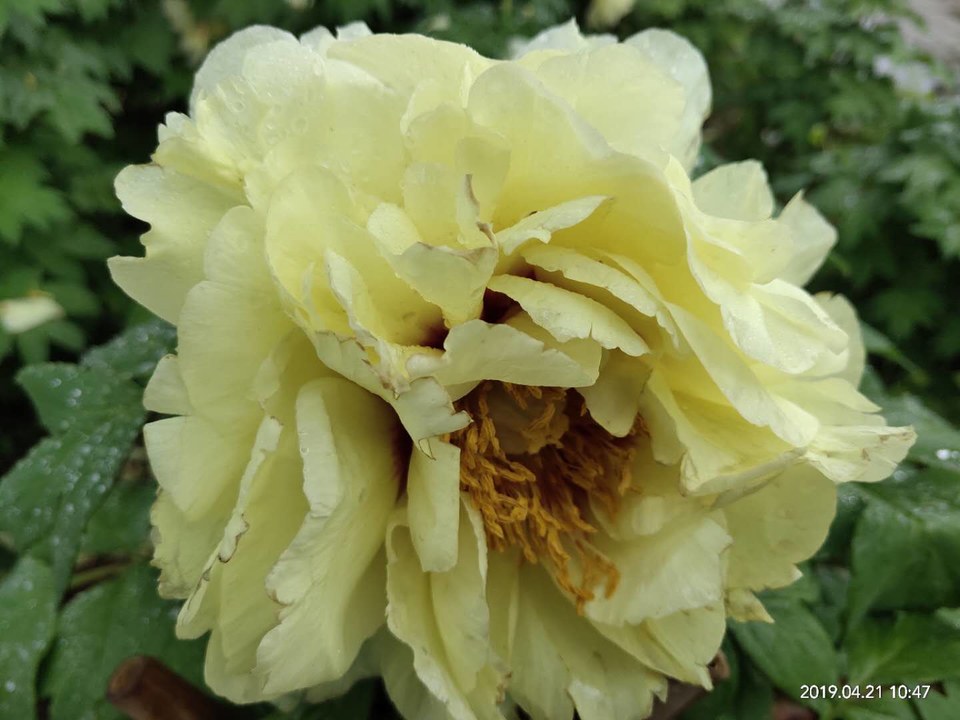 YJ69XVN2VUhfe-A0JulnURqgivLjeqQFd-D8AZG2qLEV5yNpCbpUK70p2z6mOFMs