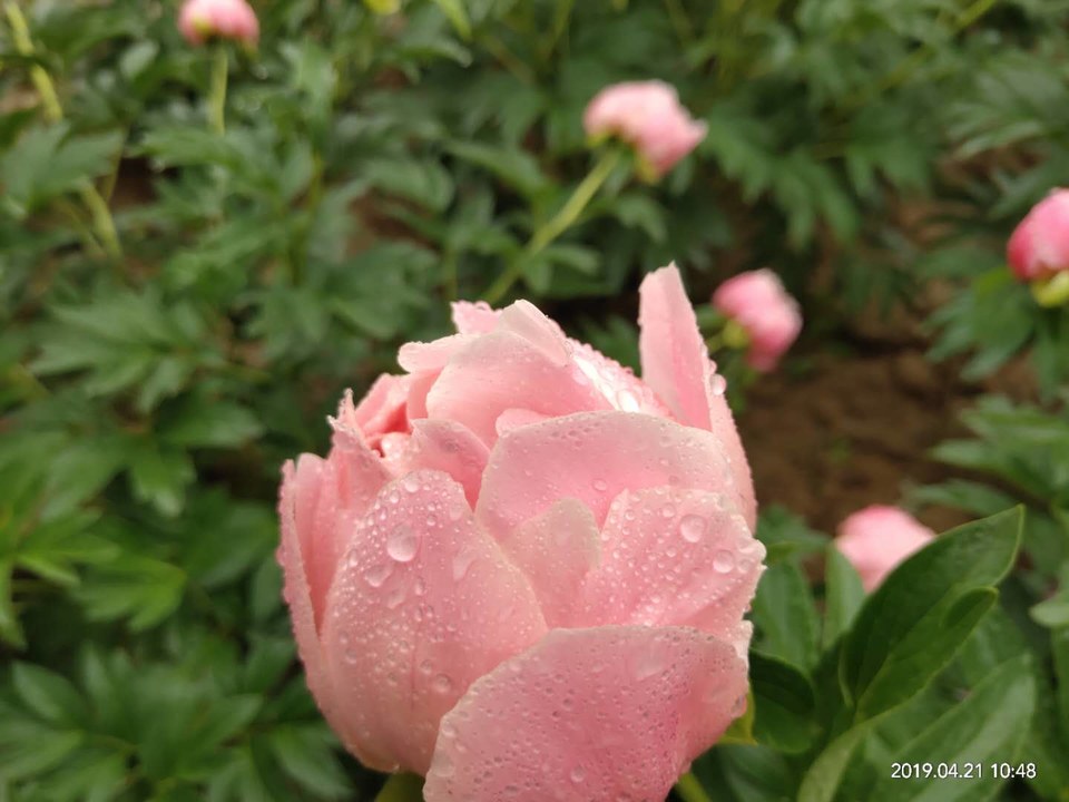 wUcC0cZYKOypPCTowIAaz00oViRKWB3s0Q4ItbsRaESqtE50ELAavT0tzHyQz5j1