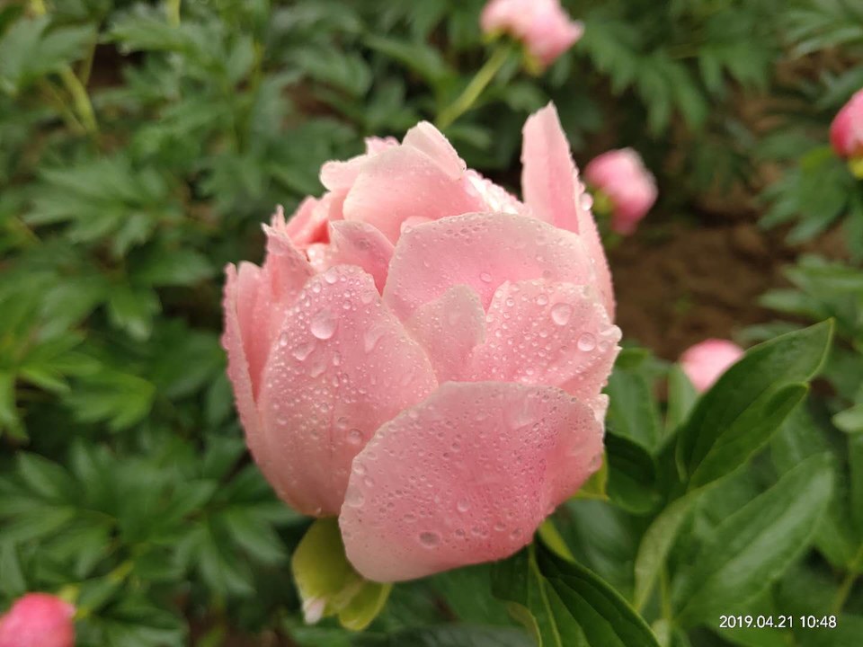 OJebhc53UAN2oxTrQ4n3DihKbSfxMOY9F78y-iUsy9dtsl7s5deOnfDax4wsXv2J