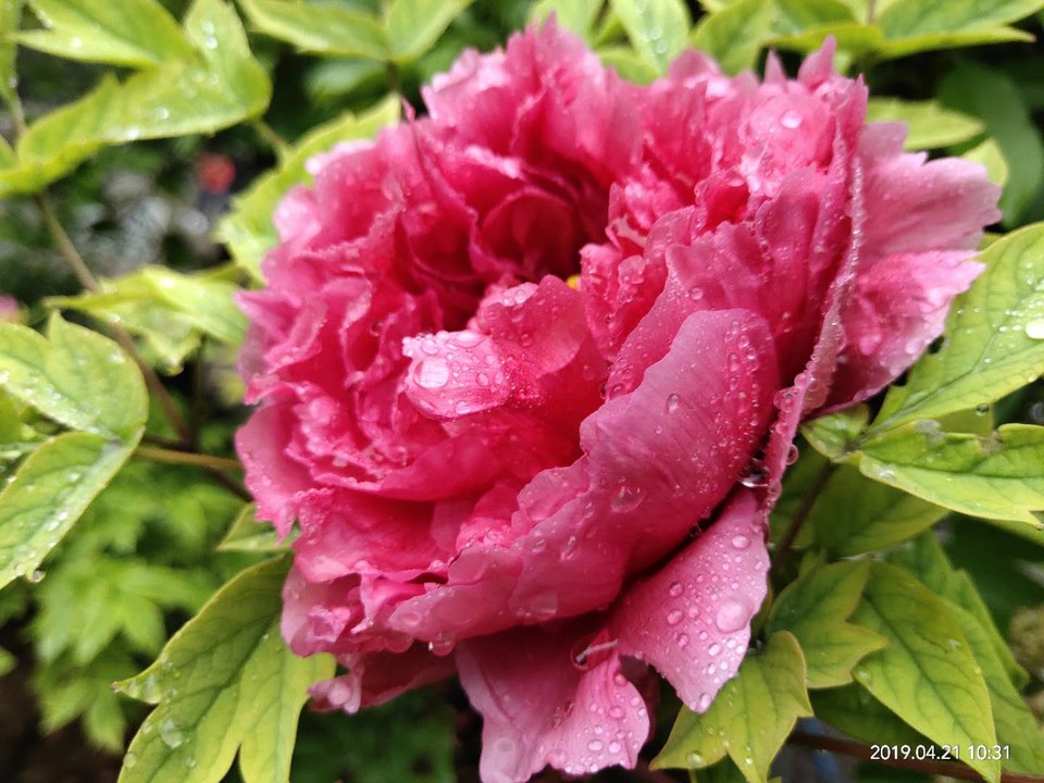 Jj0mNKldoTHpJaJSVyLJ-9gZq0rde_S1ei6D-itKqiB6U-BYHdbYp0cuYF4LVWFM