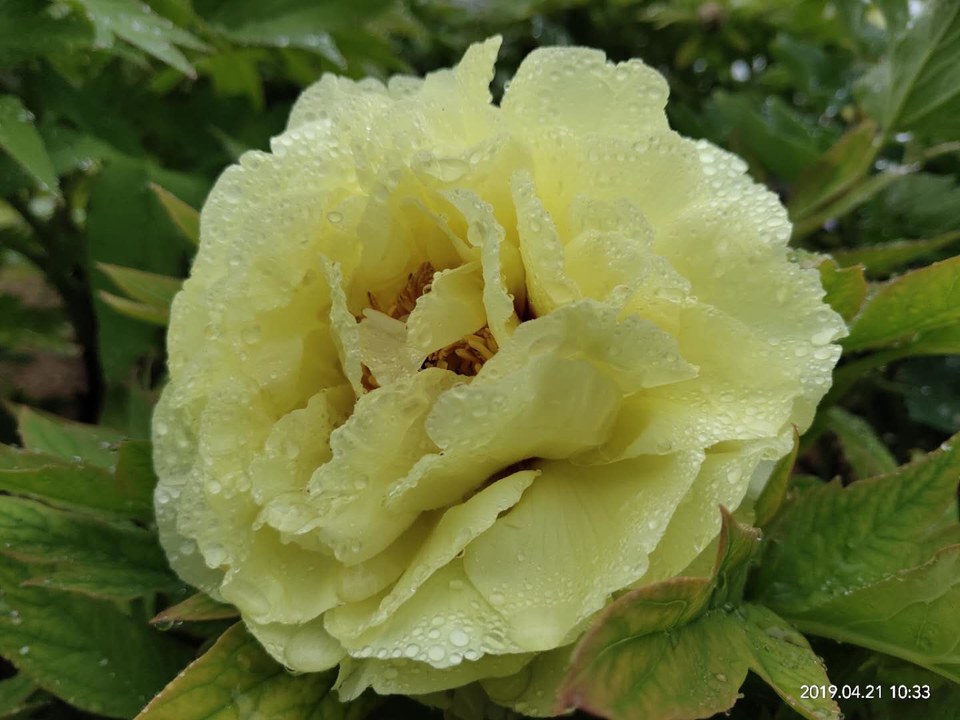 AN1IgS71byzUggcyweKWXU0H66RdXvgrRxNvEbviUAii5x8i0muDJ8mYScSbzMQH