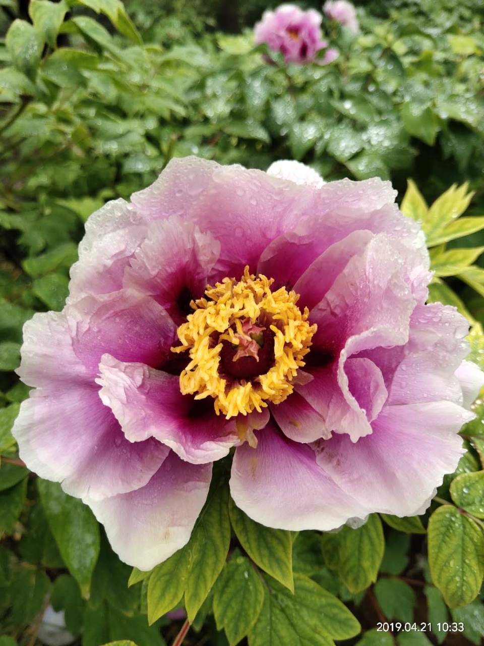 FmezZOaqdqiRFcFJ1K267SaRwFveCU7KMjQcYnIfH3FOAr7nFkZVulI-0elueo67