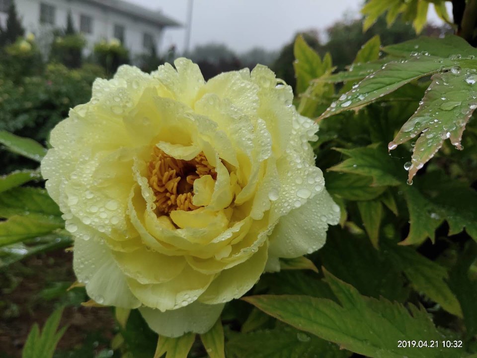 y6wM9VEMIIFH6jOcQ6cYEZhKFFCsh4ERzemoTHxZQM4YFc-7cJnjccMfjVsfO_dn