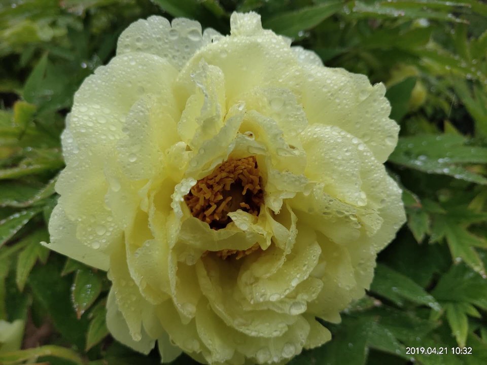 jwSvvktaHklGmGz557y5ay6InmTSzb4sovZDr3NlN8f42e1eNxCSRfD70drlZMpi