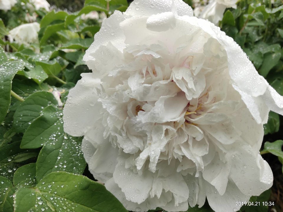 VXxFLyOfzhohD_Rg9_LMOEe8XJjFzVH5HiuxcmNS8UCm9Z6N27u0aGDOHxTwG_iz