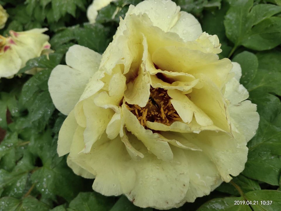 fBhPuWjIwThX8fm0XZXszeOZqSfA2HKYwJ6dCC6zTbouZdh0jwkZhRWM9H2RQPMs