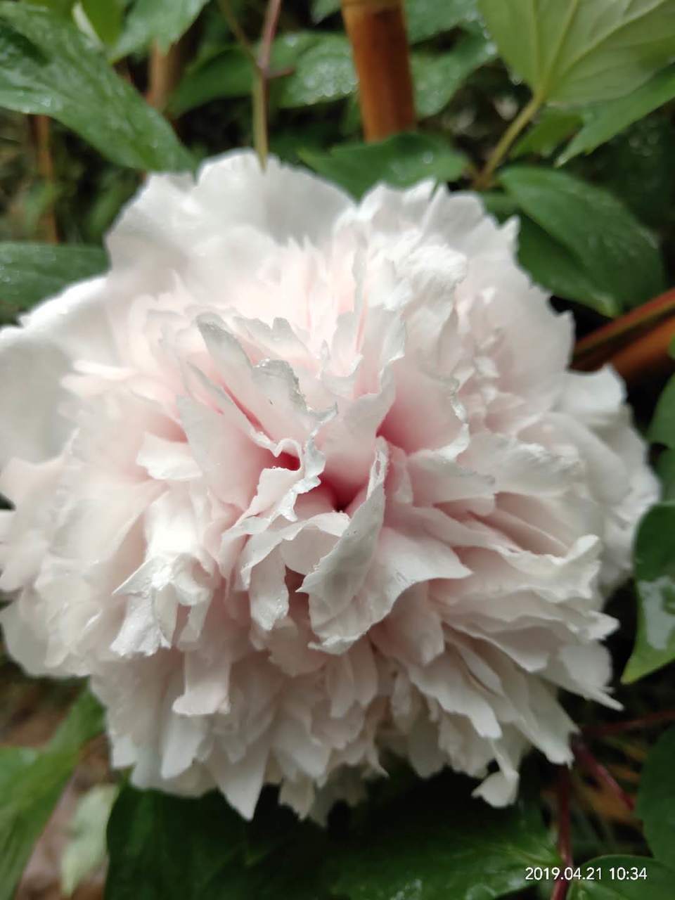 mN1WvJxnNEQIzmpBY7YLVQViZfh-1J_d7IC0f2MGwdga4t7tPz9-z7hUfMxmji0Z