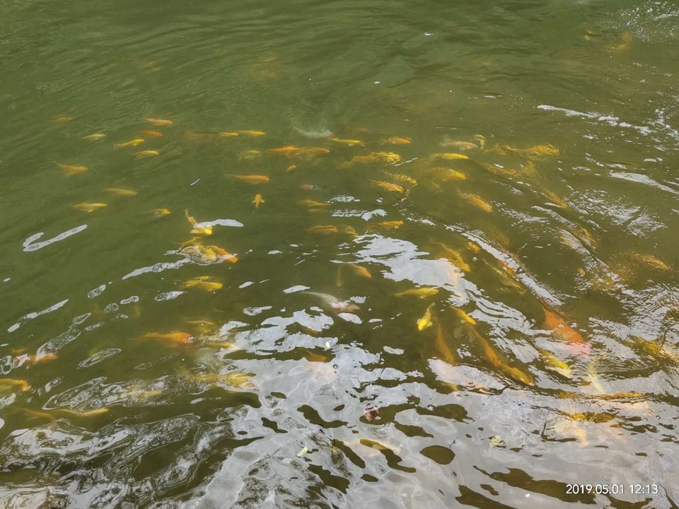 VRWwSiYgIBntZcsoEynW8hDghRrekXIQO_p-RmFbYv-kzWITeYktMMQFZC2P4cQs