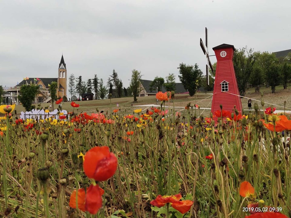 YA91nvEEJDyb_Y7teIicR4yO41LCO-8QTlOLqFs4DJUEFxiJQnH1uJzRoHX3xEdq