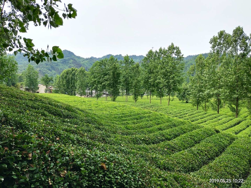 zjvHYNOJs6FmaBxEa4v-XYmp0sGruA2v7pnLDhfCgfP6NlLpDWpwPMlD4MUrY8JS