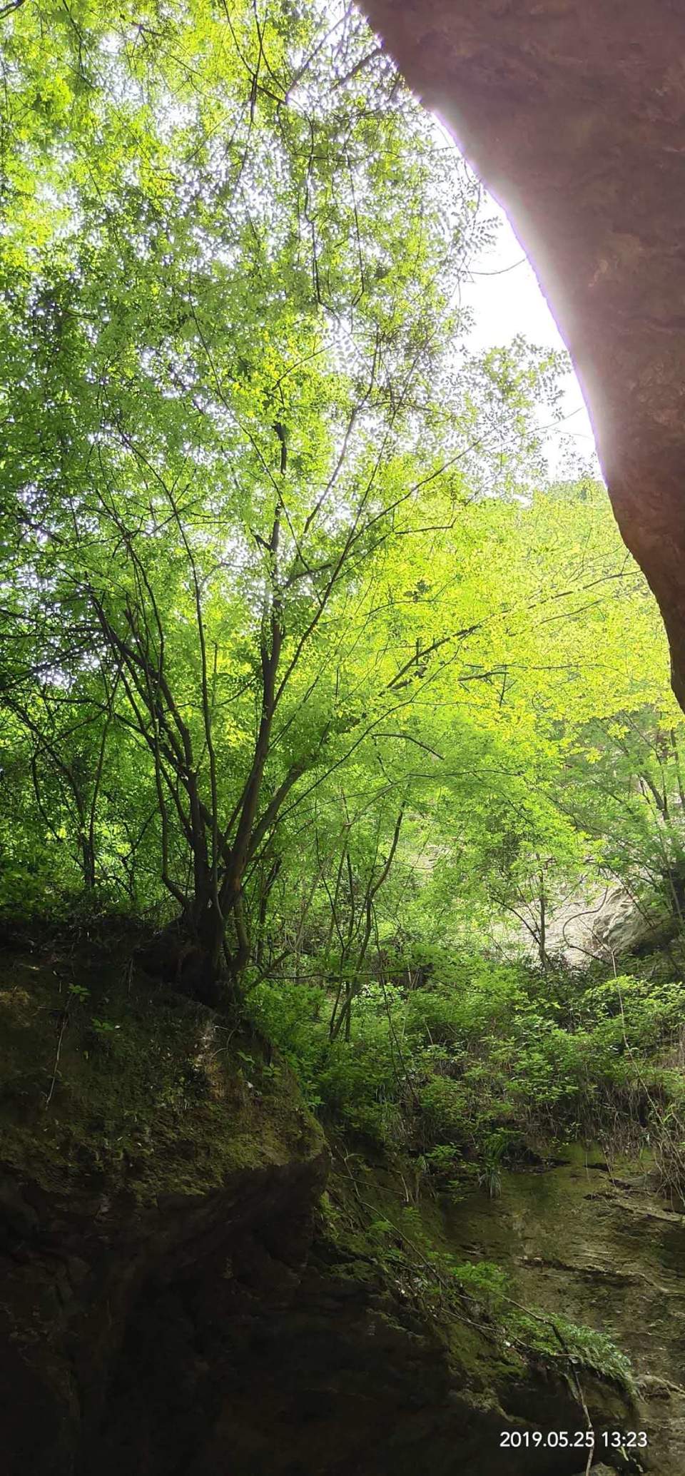 XudZZXe62n_QADLd_mTKrOR3GATAu4rjmOy38qhQg_r1zZ1UxULjIBdJ71eZAYlx