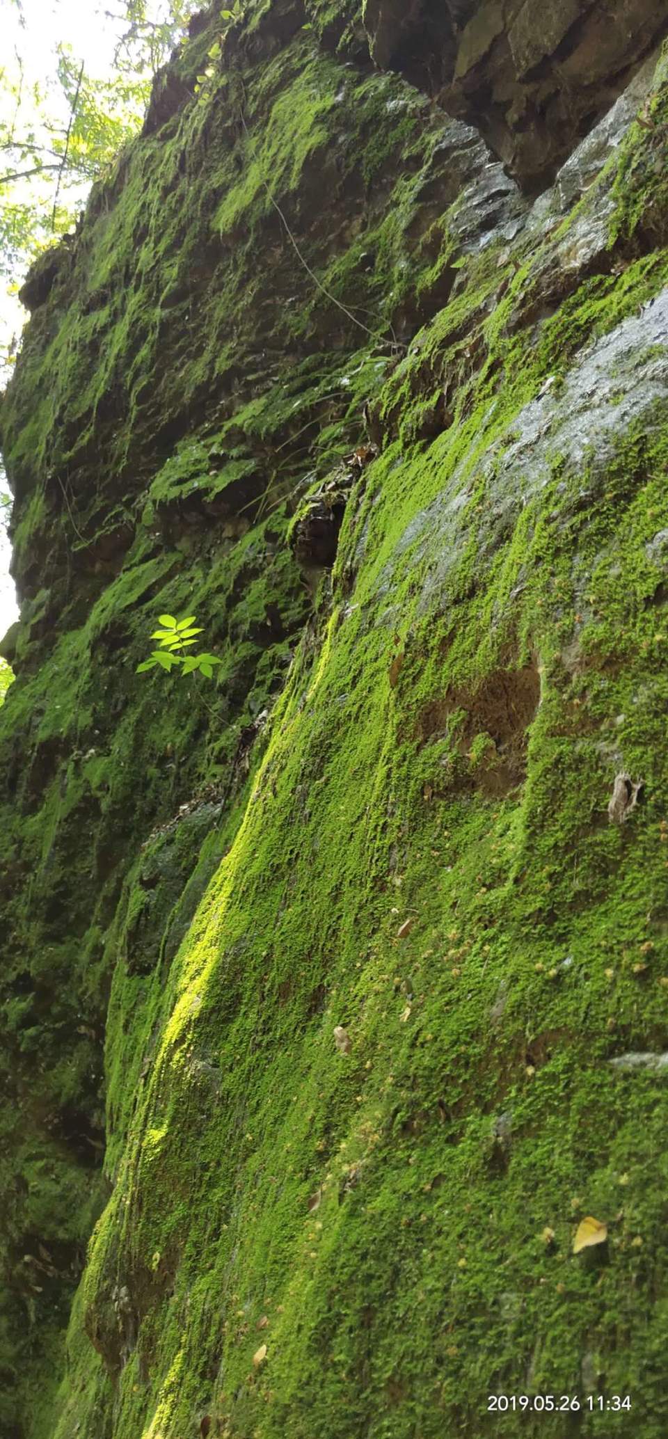 oJ6WUy5mpyxqmY7AeK-bQH1_YJ_qWVC1_SlovF7l3sNQJbxMTU7cvRNcaA1lKd4C